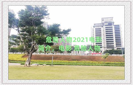 危险人物2021电影简介，电影 危险人物